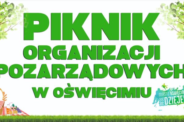 Piknik Organizacji Pozarządowych 2023 – zgłoszenia