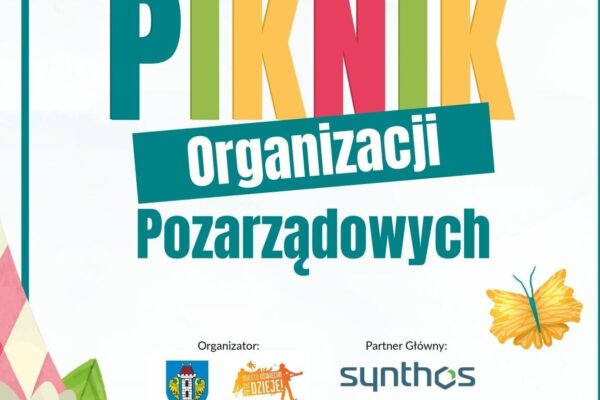 Piknik Organizacji Pozarządowych