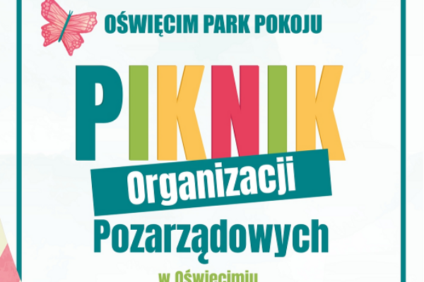 Piknik Organizacji Pozarządowych